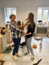 В Международный день благотворительности члены Молодежного совета Отделения СФР по Кемеровской области – Кузбассу посетили приют для бездомных животных «Усатый-Полосатый».